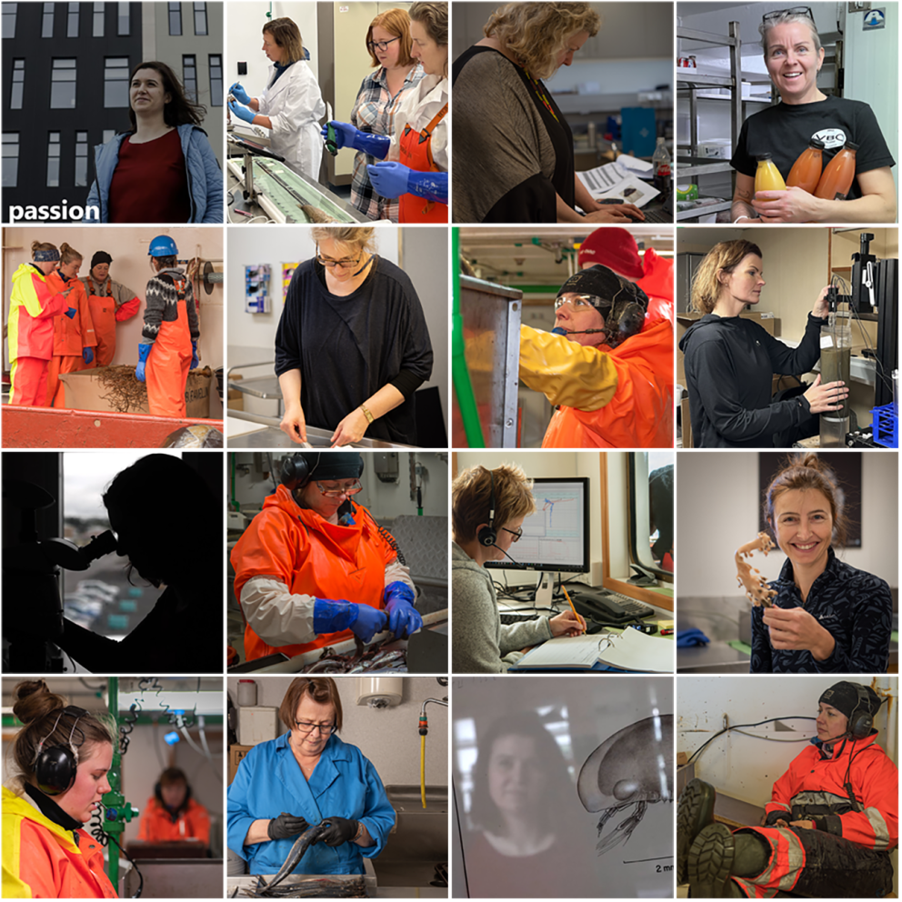 Myndir úr safni Hafrannsóknastofnunar