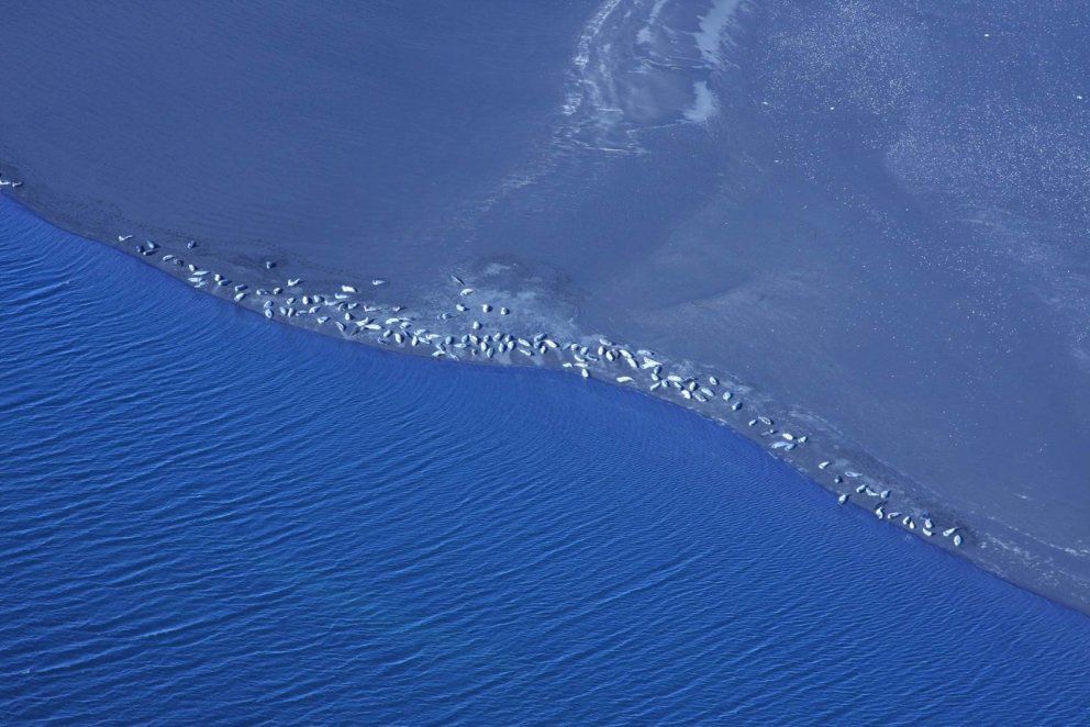 Image Sandra Granquist.