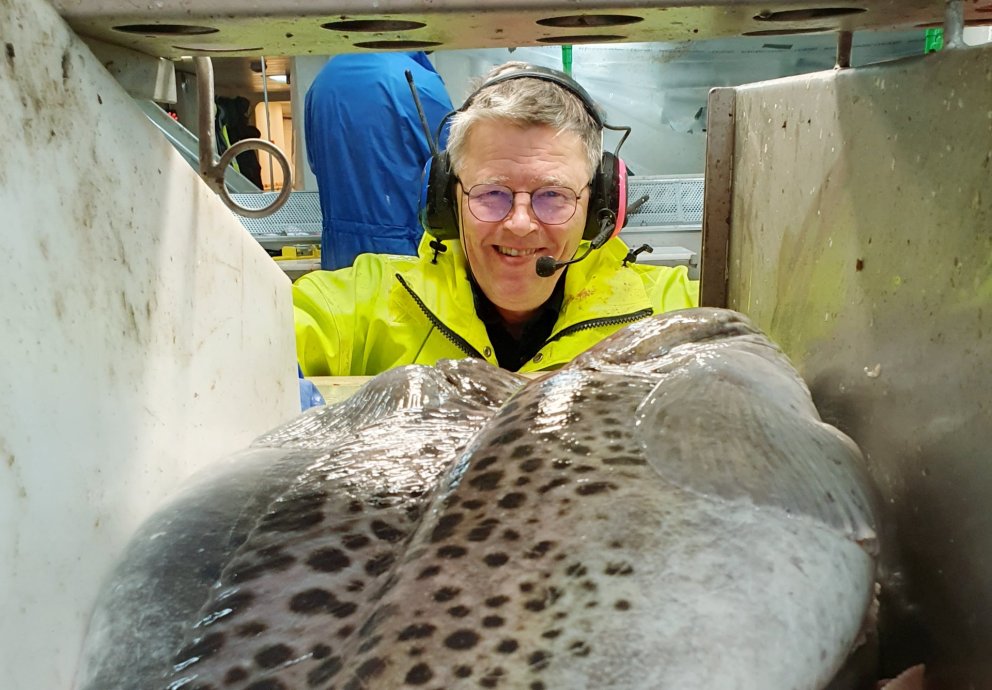 Asgeir Gunnarsson, Iceland most prominent expert on the spotted wolffish (Anarhichas minor), with hi…