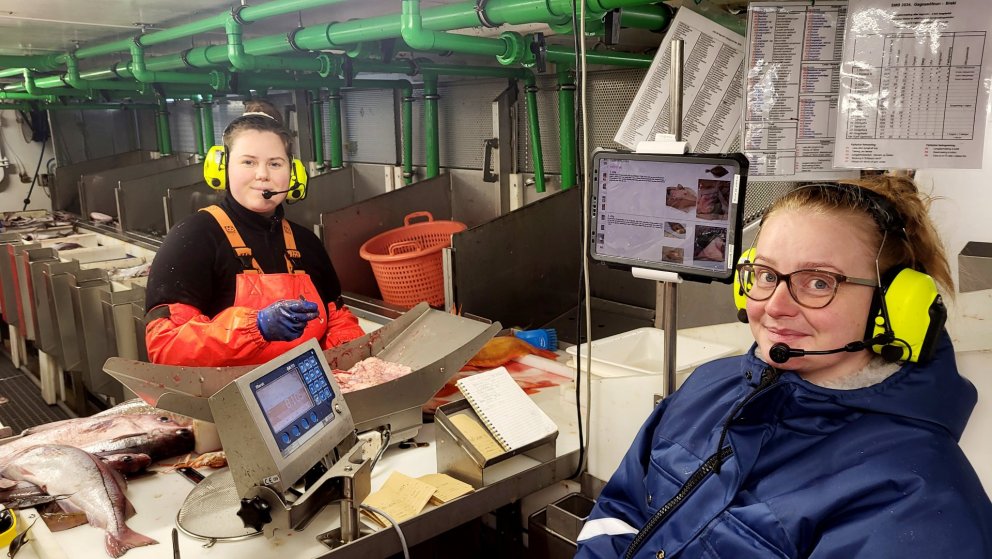 Kristín Inga Pétursdóttir Whitehead and Svandís Eva Aradóttir attending to otolith removal from hadd…
