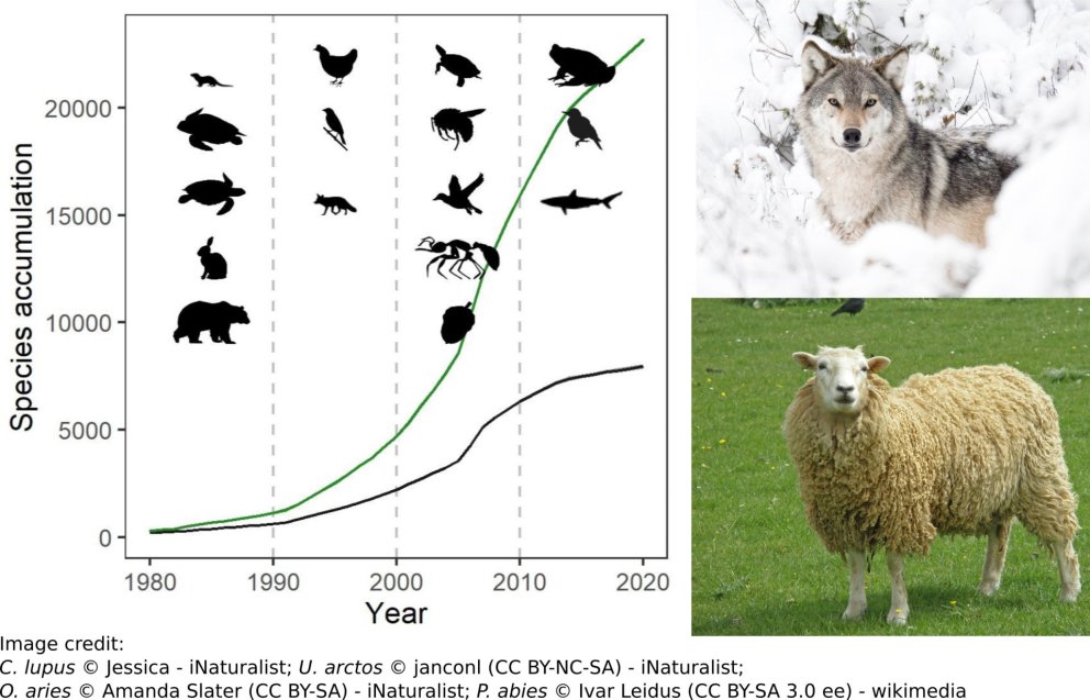 Efforts to conserve biodiversity have been hampered by long-standing biases, including a disproporti…
