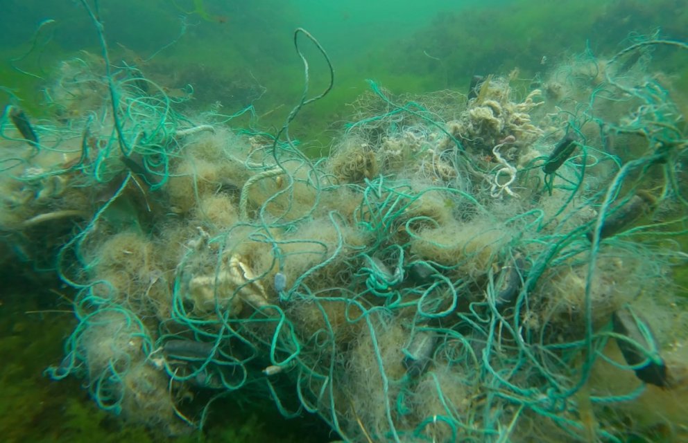 Abandoned, lost, and Otherwise Discarded Fishing Gear in World’s Inland Fisheries