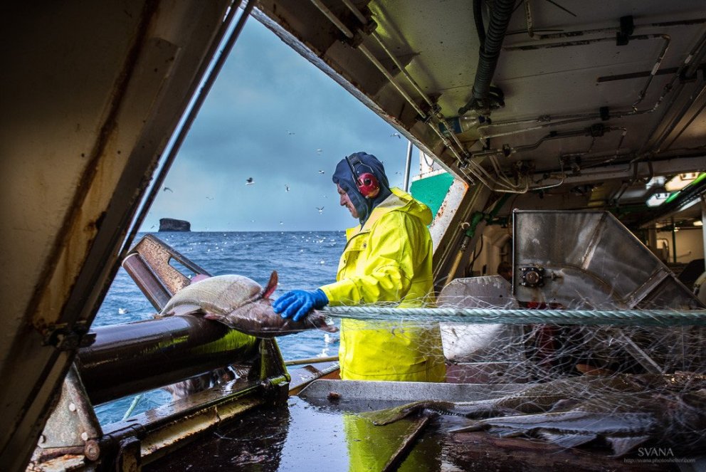 Mynd: Svanhildur Egilsdóttir