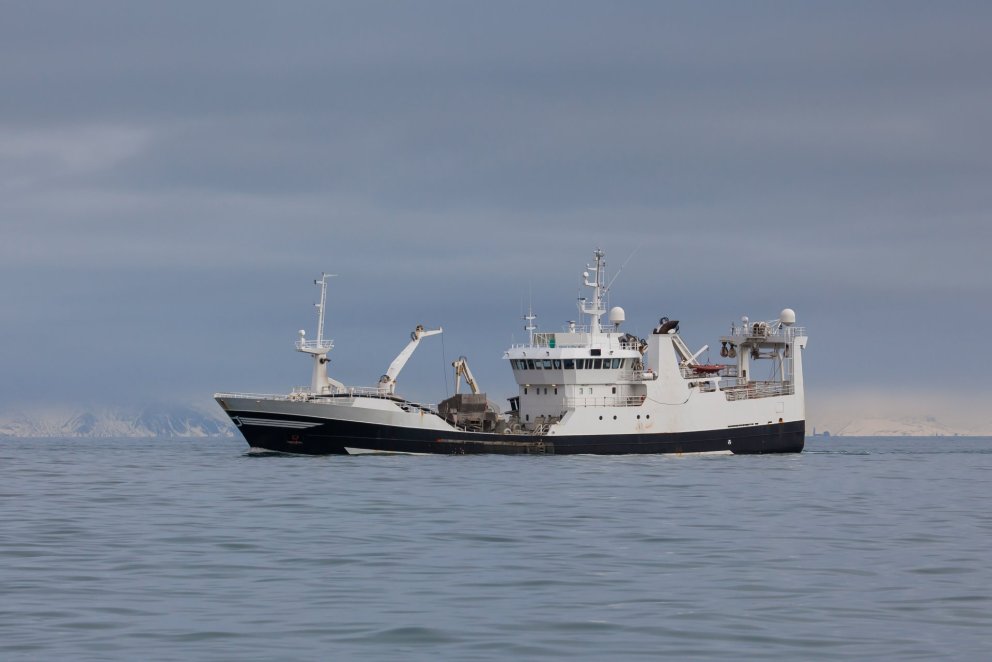 Altered capelin behaviour because of climate change