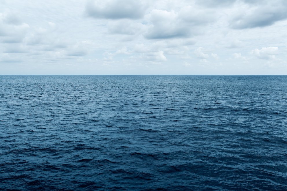 We are seeking a PhD student in marine biology