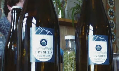 Would you like to taste seaweed kombucha?