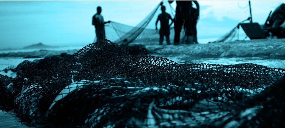 Sjávarútvegsskóli Gró og sjálfbærar fiskveiðar í þróunarlöndum á opnum fundi