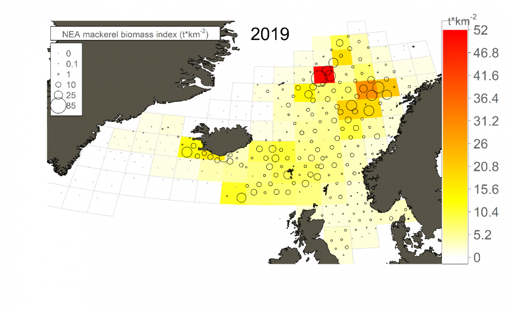 Niðurstöður makrílleiðangurs í júlí-ágúst