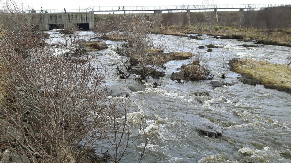 Ljósm. Friðþjófur Árnason