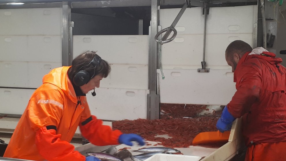 Ljósm. Ingibjörg Jónsdóttir