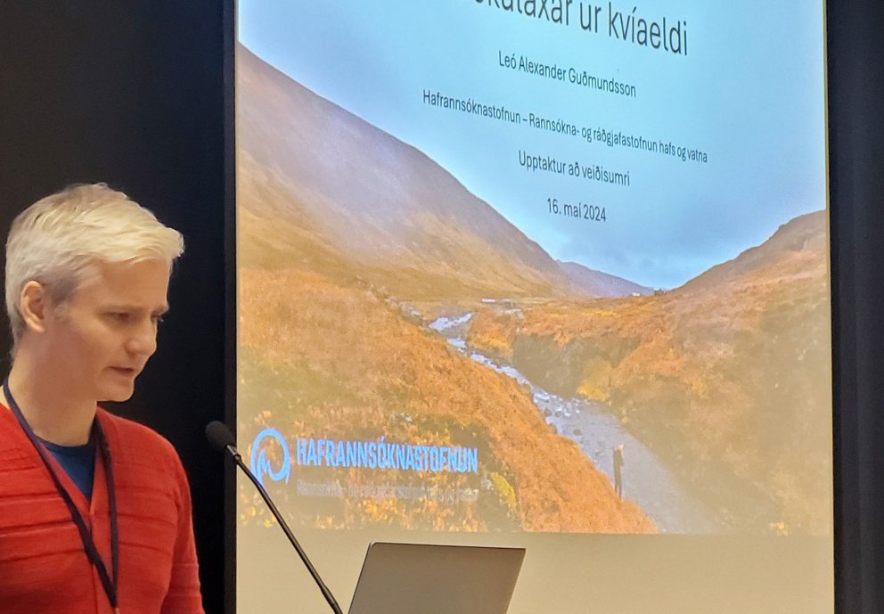 Leó Alexander Guðmundsson líffræðingur hjá Hafrannsóknastofnun fjallar hér um strokulaxa úr kvíaeldi…