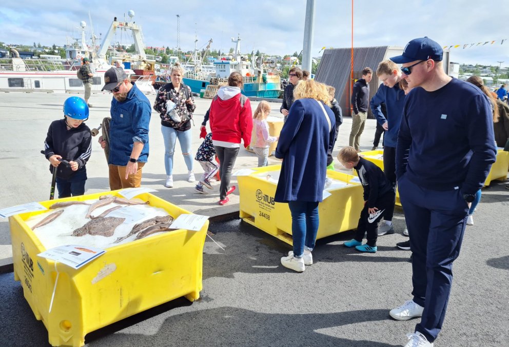 Fiskasýning og opið hús á sjómannadegi