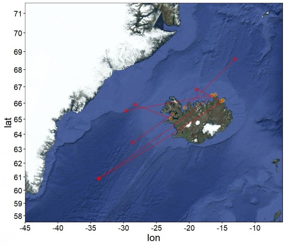 2. mynd. Merkingastaðir (rauðir hringir) og endurheimtustaðir (appelsínugulir hringir) sjö hrognkels…