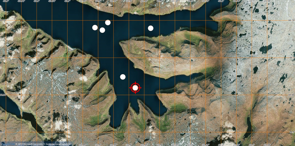 Nýjustu staðsetningar hnúfubakanna í Arnarfirði að morgni 9. september 2019.