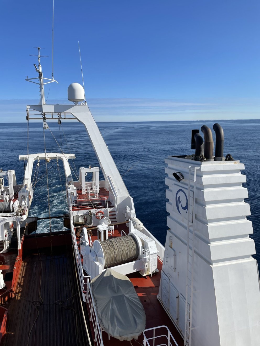 Yfirborðstog í Grænlandssundi í júlí 2023, segl og belgir sjást í yfirborði. Ljósm. Anna Heiða Ólafs…