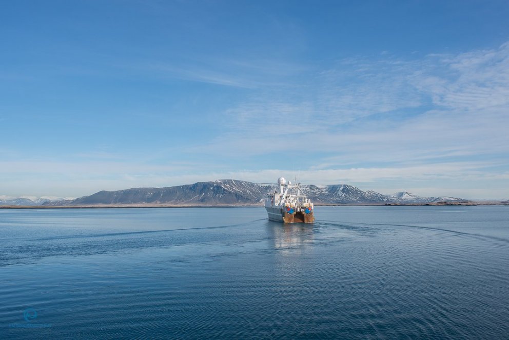 Skýrsla um hrygningu makríls við Ísland