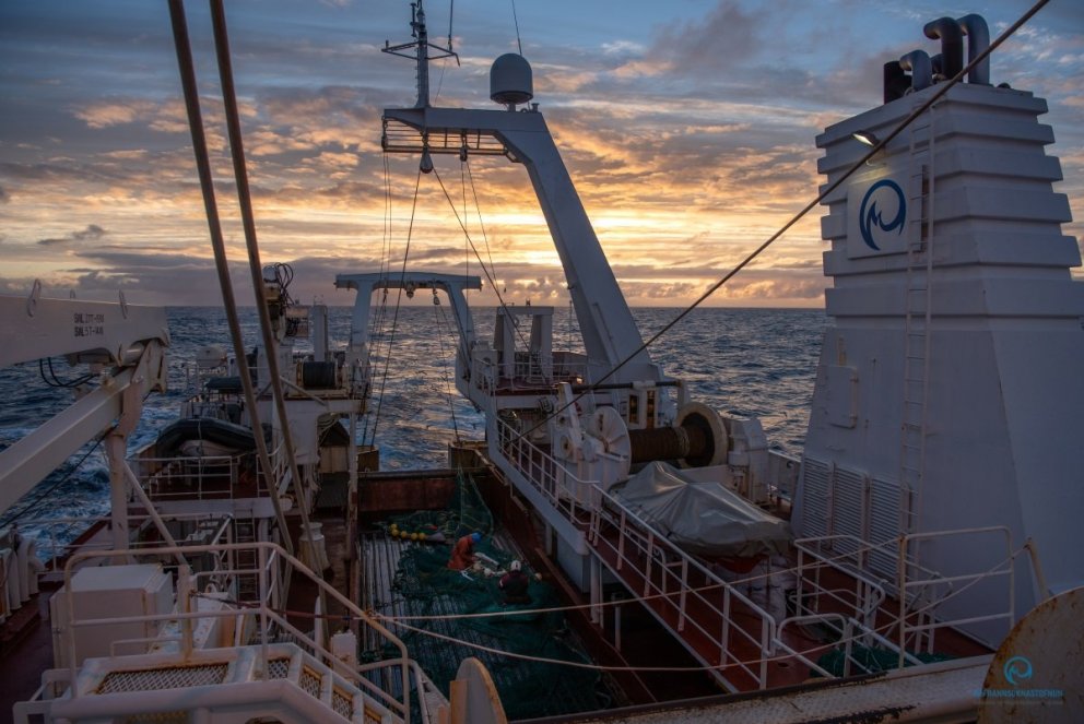 Presentations of fellows' final projects