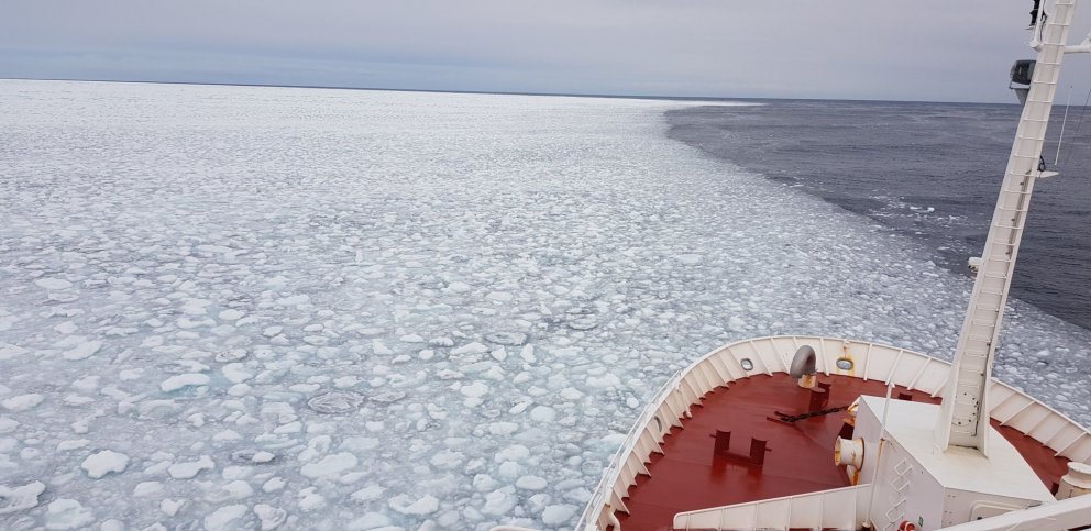 Ljósm. Birkir Bárðarson.