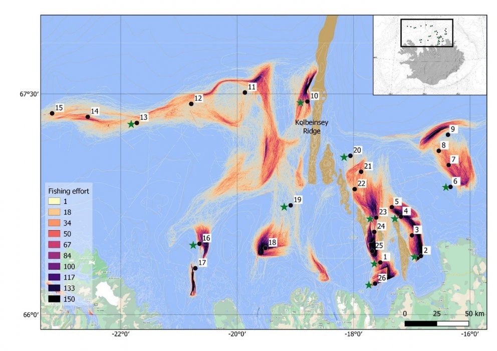 1. mynd. Staðsetning stöðva (punktar sýna hvar myndir voru teknar og stjörnur hvar botngreipar voru …