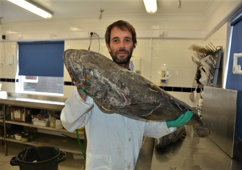 Mynd af Brendon Lee, fyrirlesara málstofunnar.