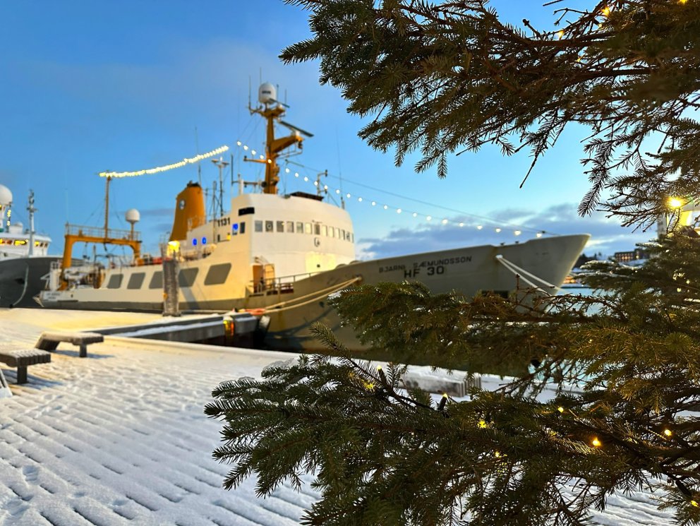 Gleðileg jól og hafsælt komandi ár!