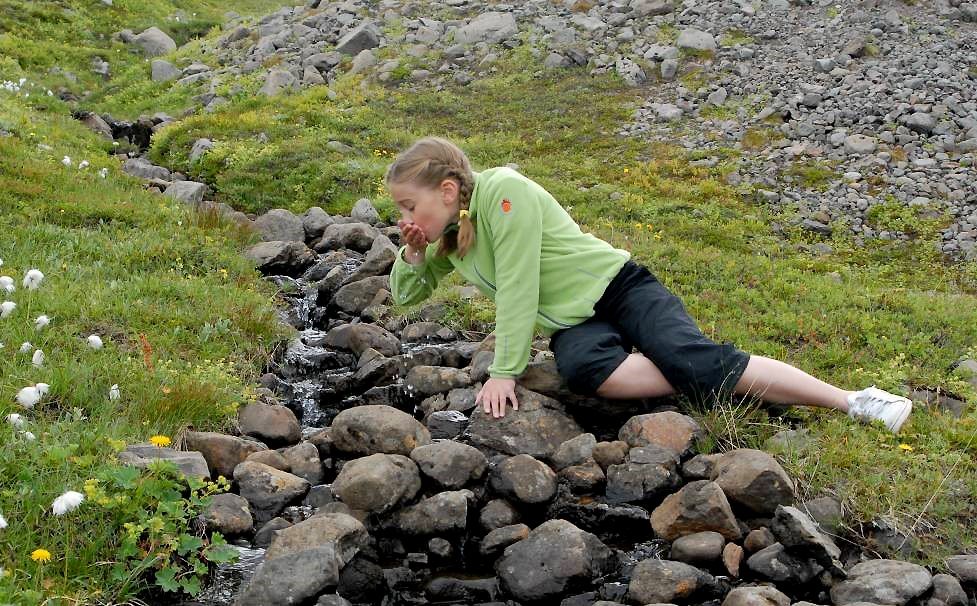 Líklega er íslenska vatnið best í heimi. Mörgum útlendingnum þykir merkilegt að hægt sé að drekka va…