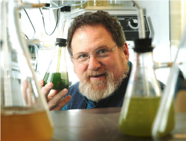 Eru smáþörungar og stórþörungar framtíðin?