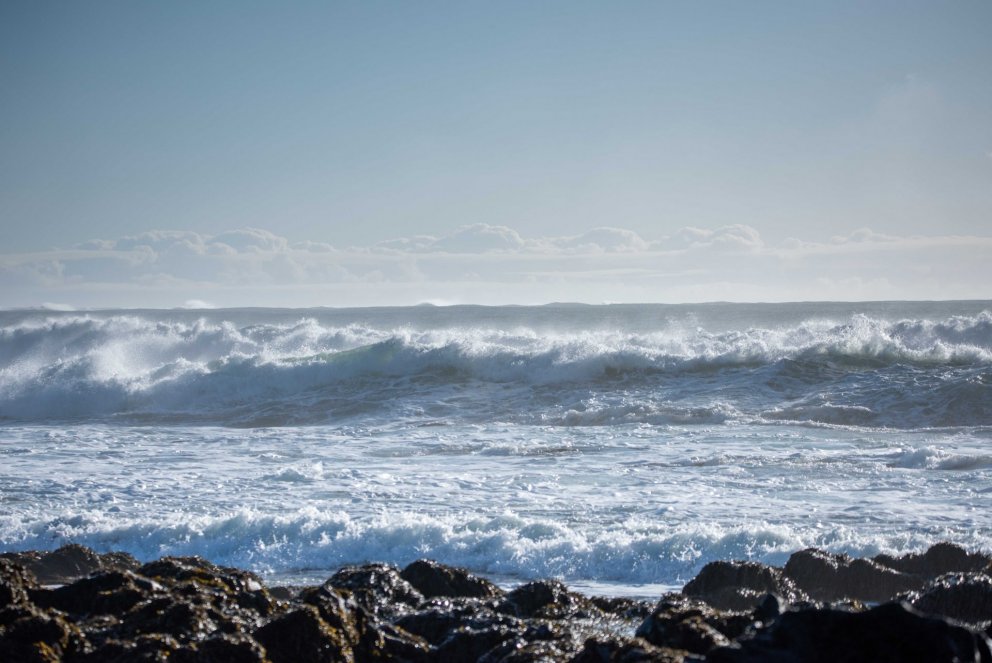 Alþjóðadagur hafsins
