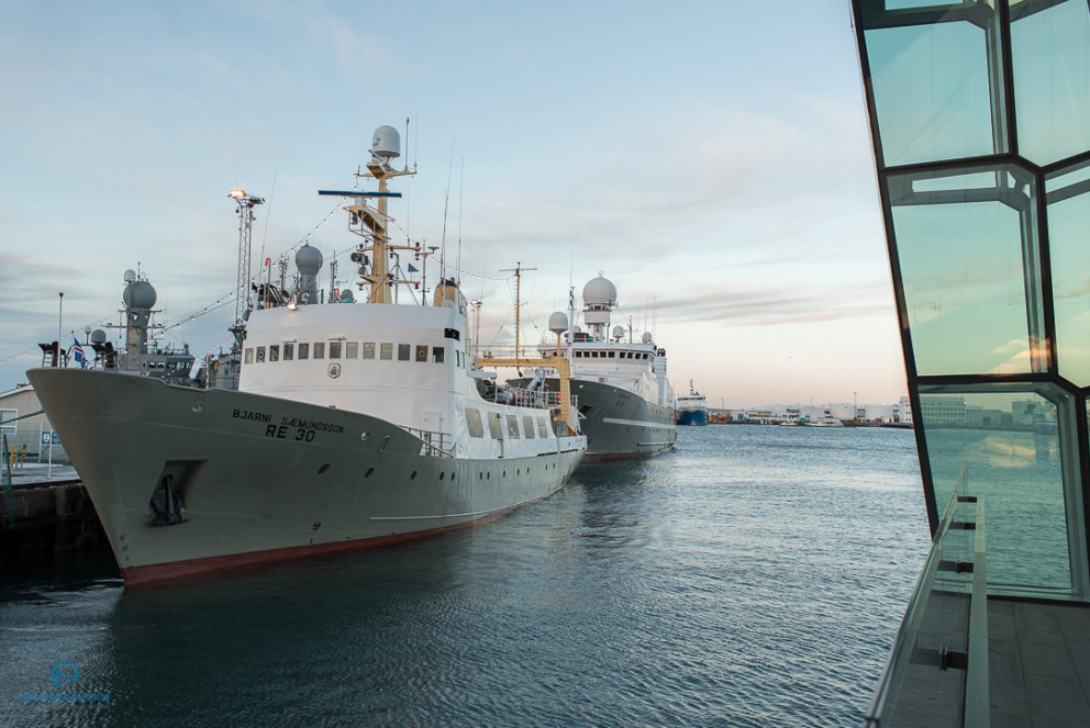 Stofnmæling botnfiska 2018