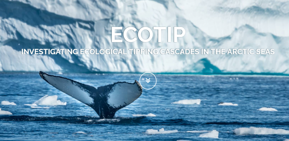 Mynd er klippt af vefsíðu ECOTIP