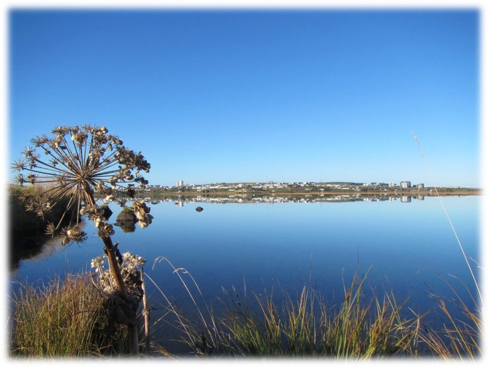 Elliðavatn. Ljósm. Friðþjófur Árnason.