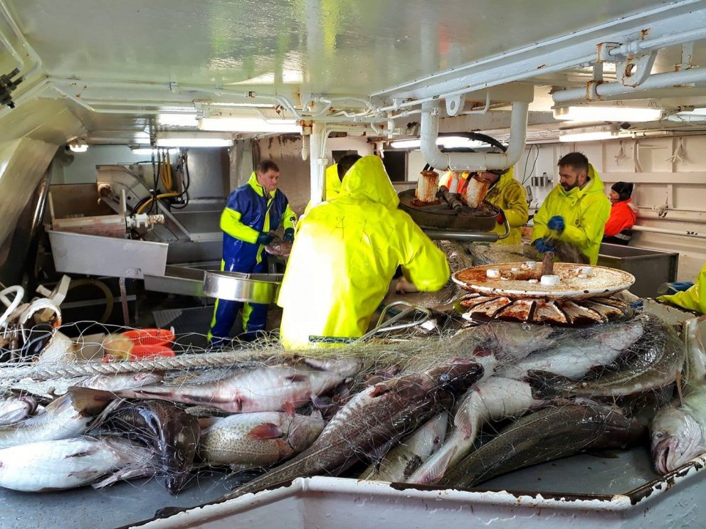 Ljósm. Eric Dos Santos