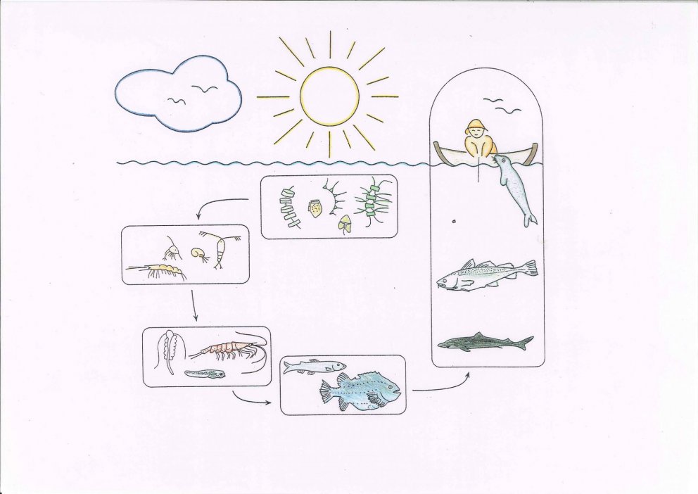 Mynd: Kristinn Guðmundsson, Sigurður Gunnarsson, Kristín Valsdóttir