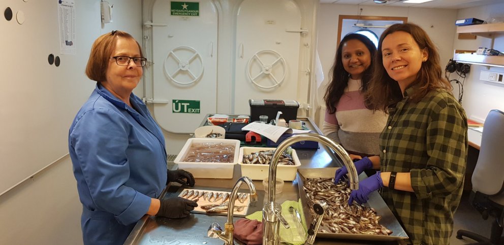 Rannsóknafólk í loðnuleiðangri. Ljósm. Birkir Bárðarson