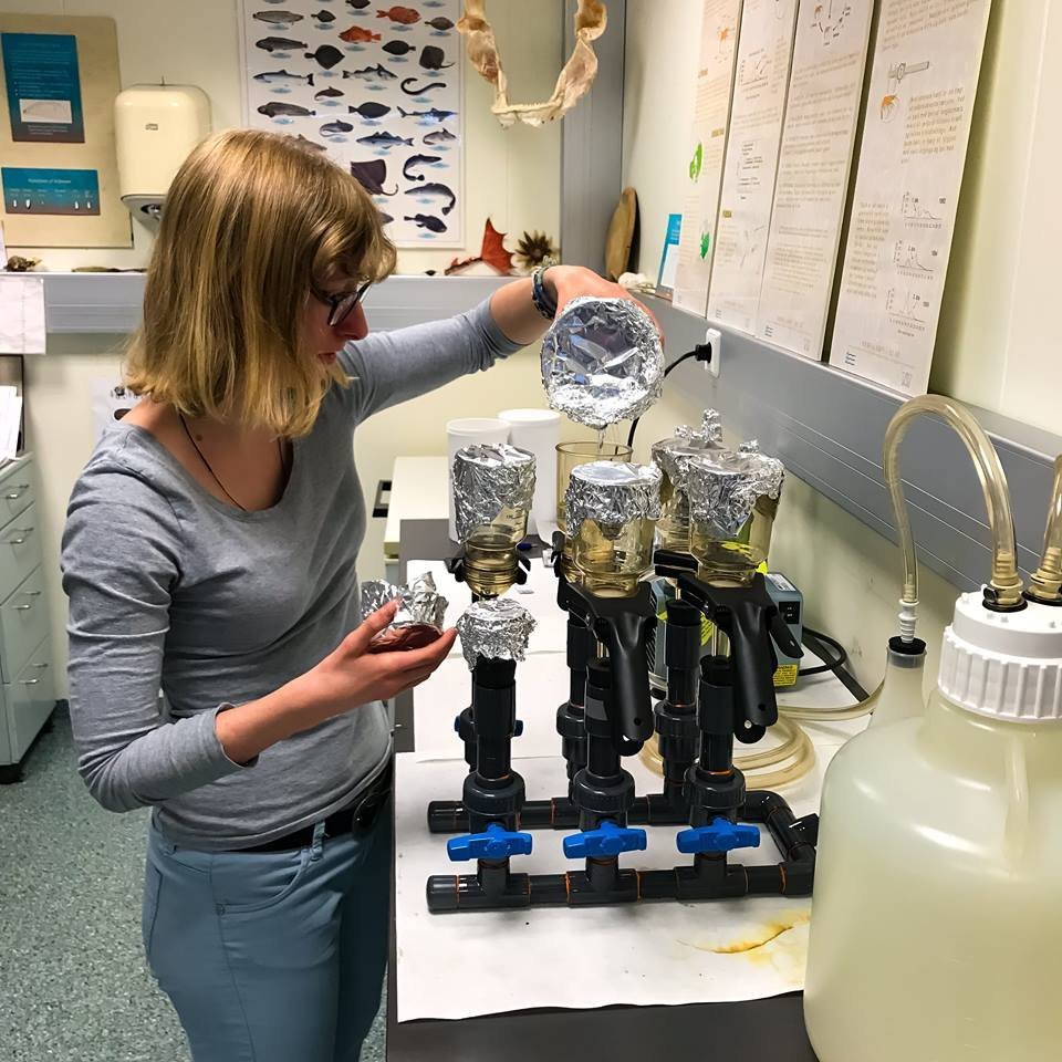 Fyrirlestur Anne de Vries fellur niður