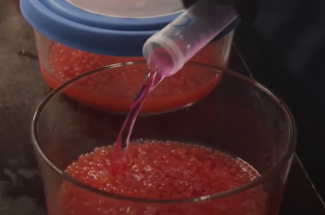 Kyrrmynd úr myndbandi.