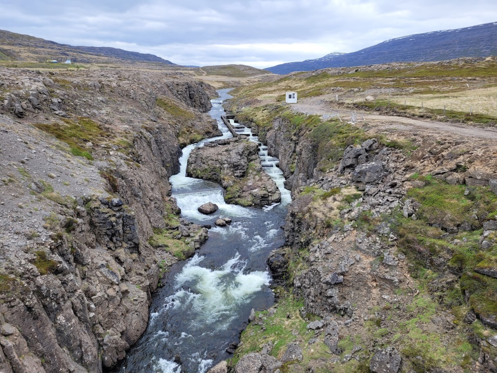 Fiskteljari í fiskvegi í Laugardalsá