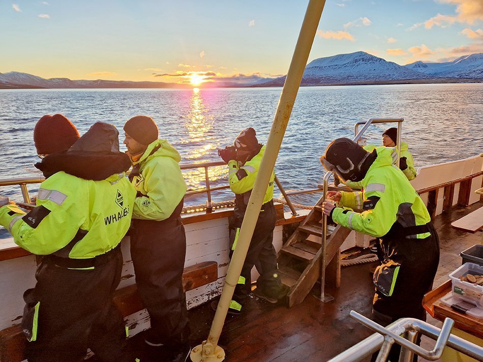 Fellows watching humpback whales in Eyjafjordur earlier this year.
