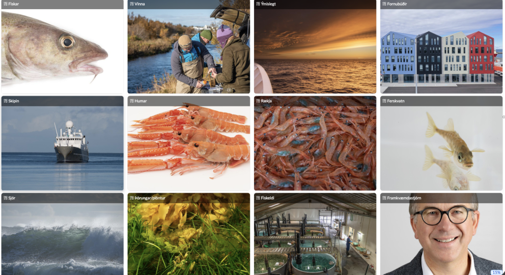 Fagur fiskur í sjó