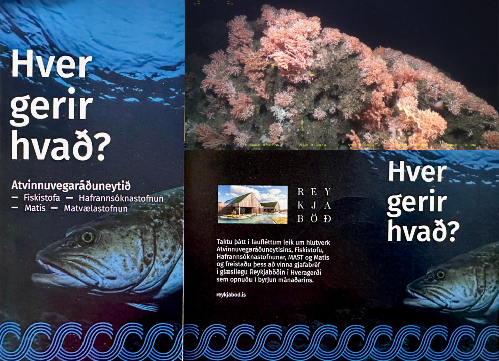 Samsett mynd af bæklingi, getraun og Gullrifinu góða.