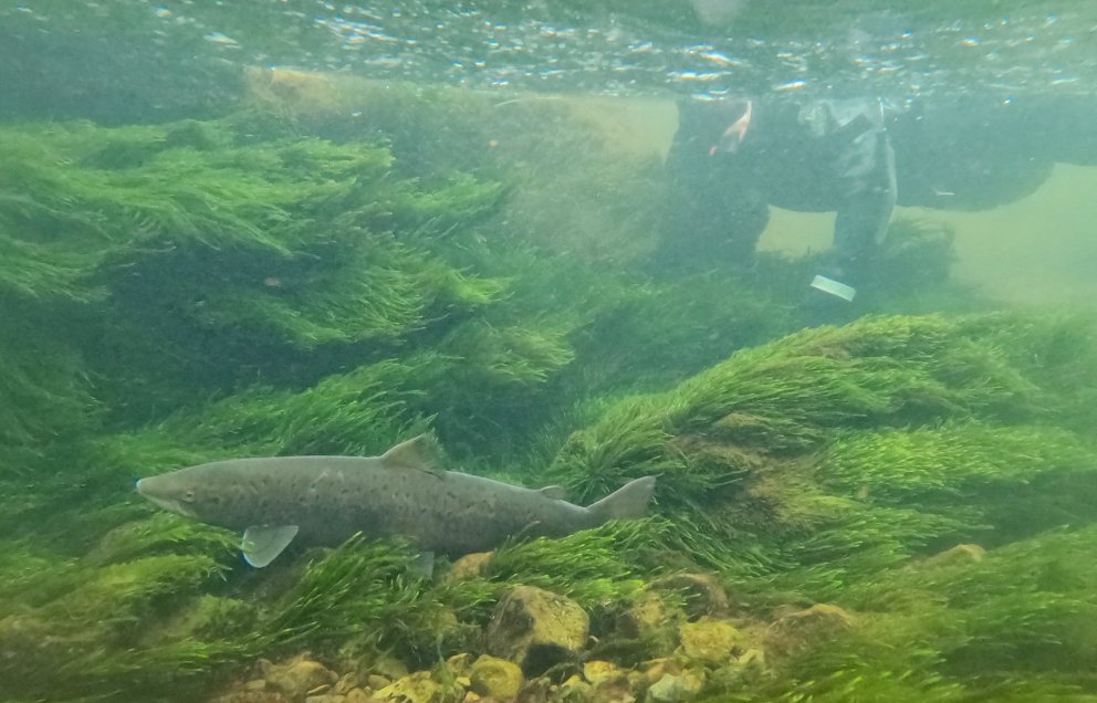 Ljósmynd: Leó Alexander Guðmundsson