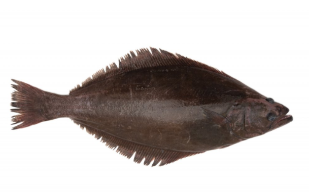 Ljósm. Svanhildur Egilsdóttir.