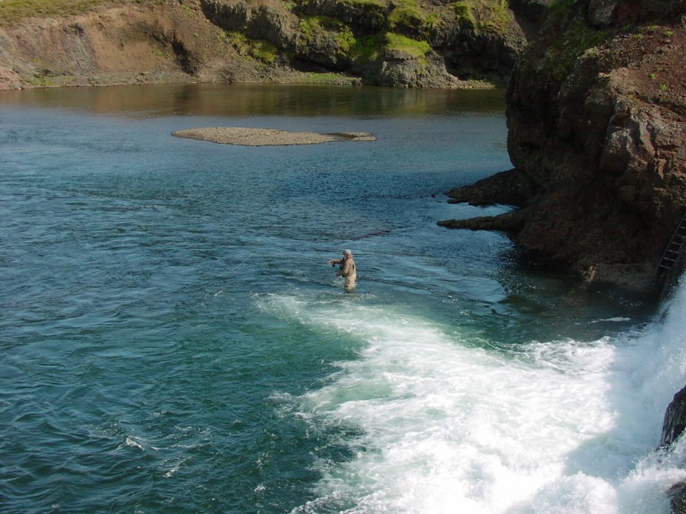 Ljósm. Hafrannsóknastofnun