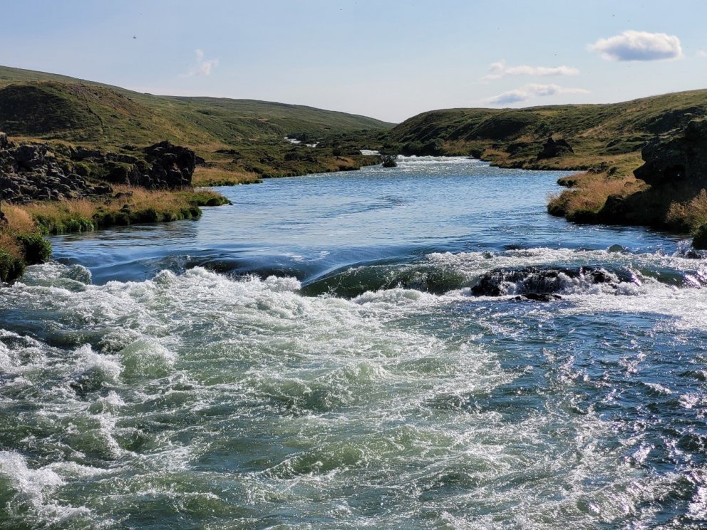 Ljósm. Guðni Guðbergsson.