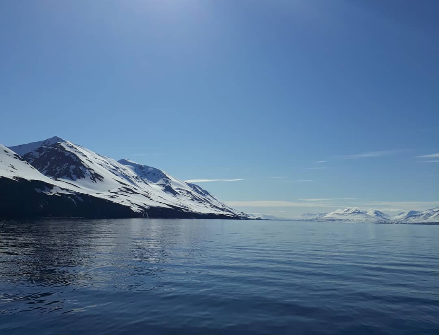 Ljósm. Hafrannsóknastofnun - https://www.instagram.com/hafrannsoknastofnun/