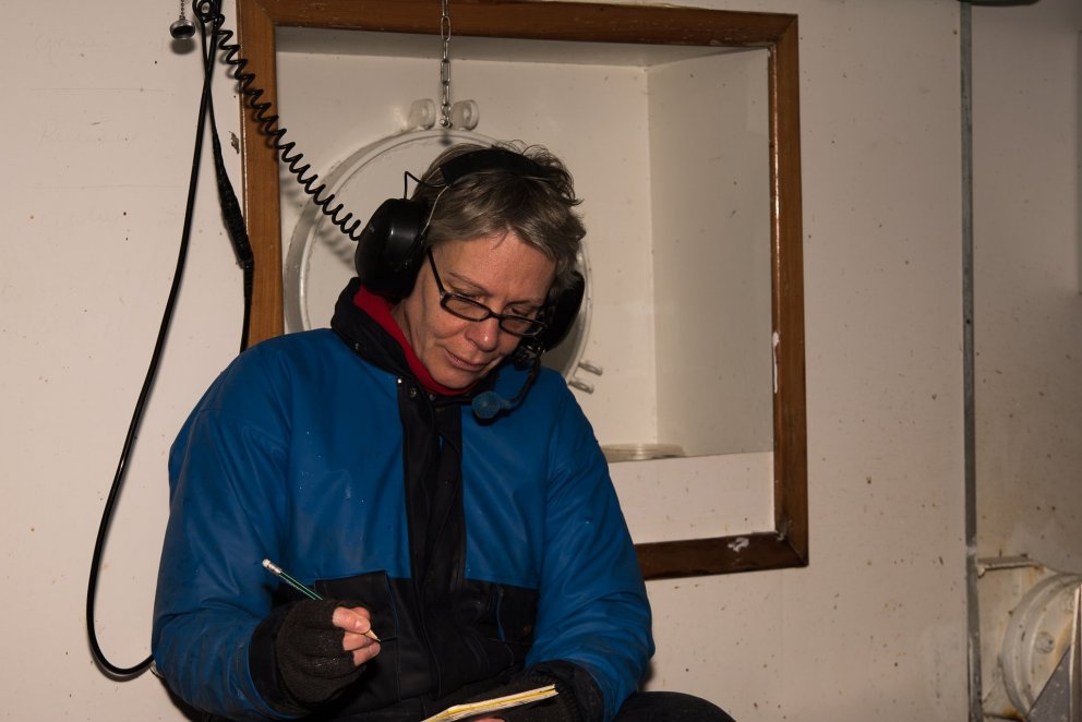 Ljósm. Svanhildur Egilsdóttir