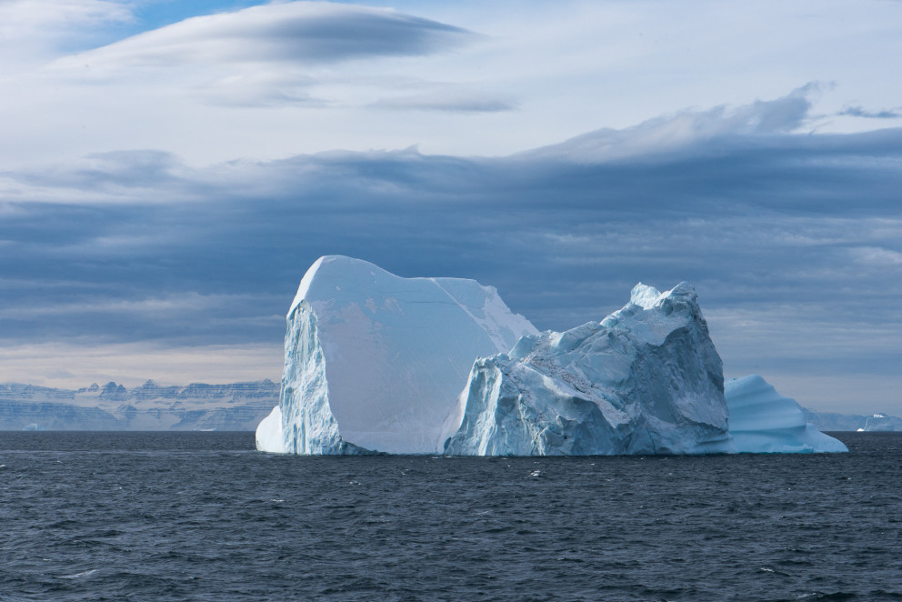 Áhrif hopandi jökla á lífríki