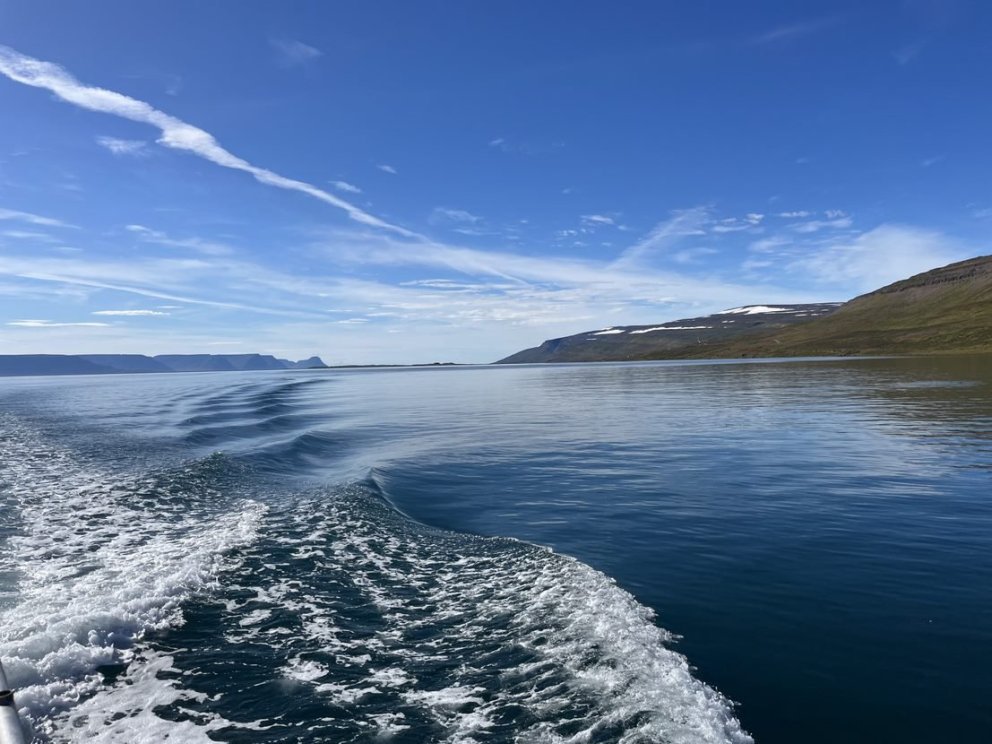 Mynd tekin úr leiðangrinum við Kaldalón að Æðey.
