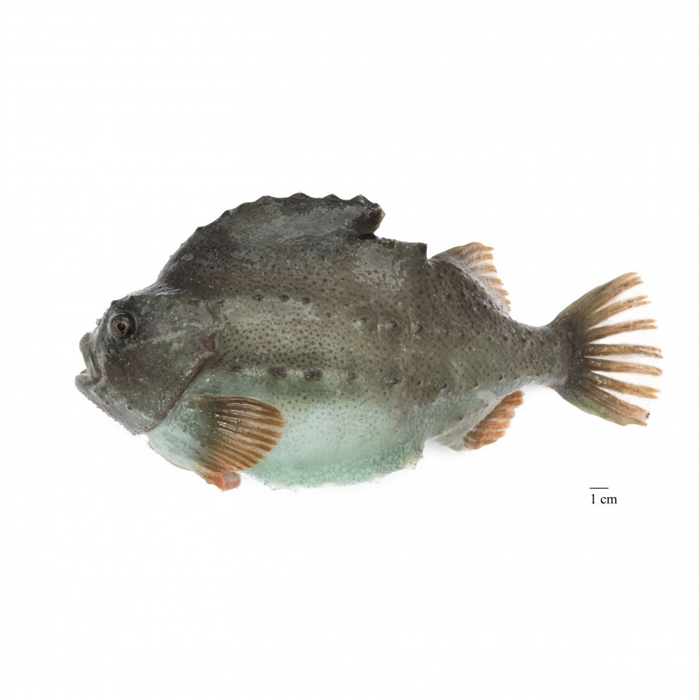 Mynd: Svanhildur Egilsdóttir