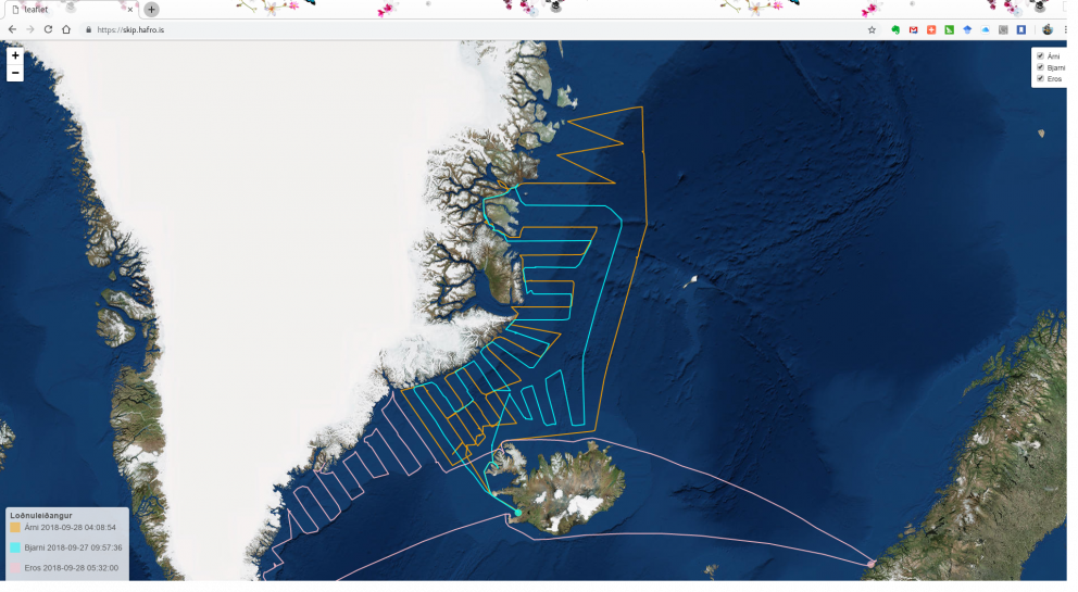 Rannsóknasvæði í loðnuleiðangrinum 5.-28. september sl.
Hægt er að smella á myndina til að sjá stær…